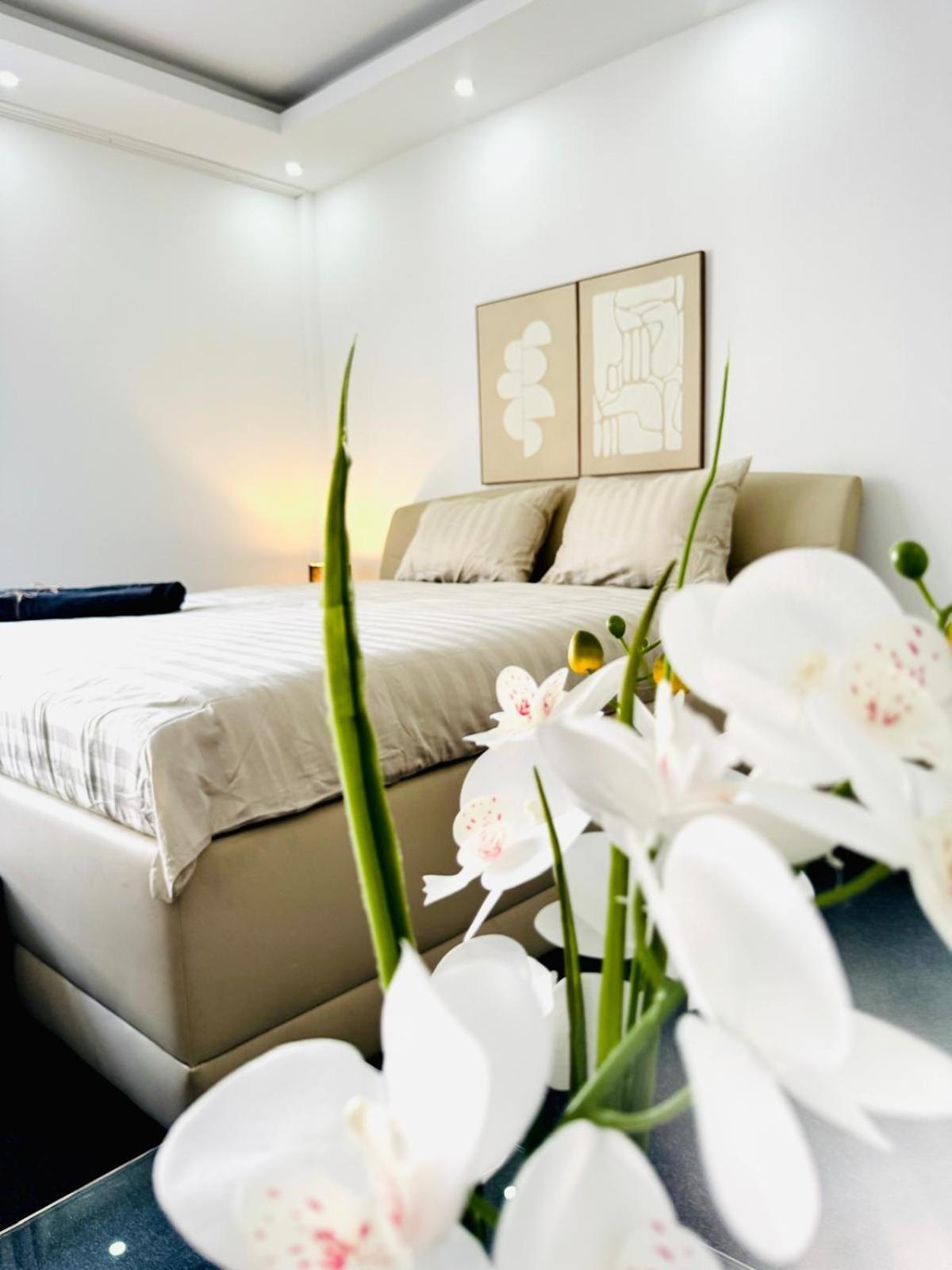Bright Stay, 7br Shared Only 13min To Belvedere Palace
