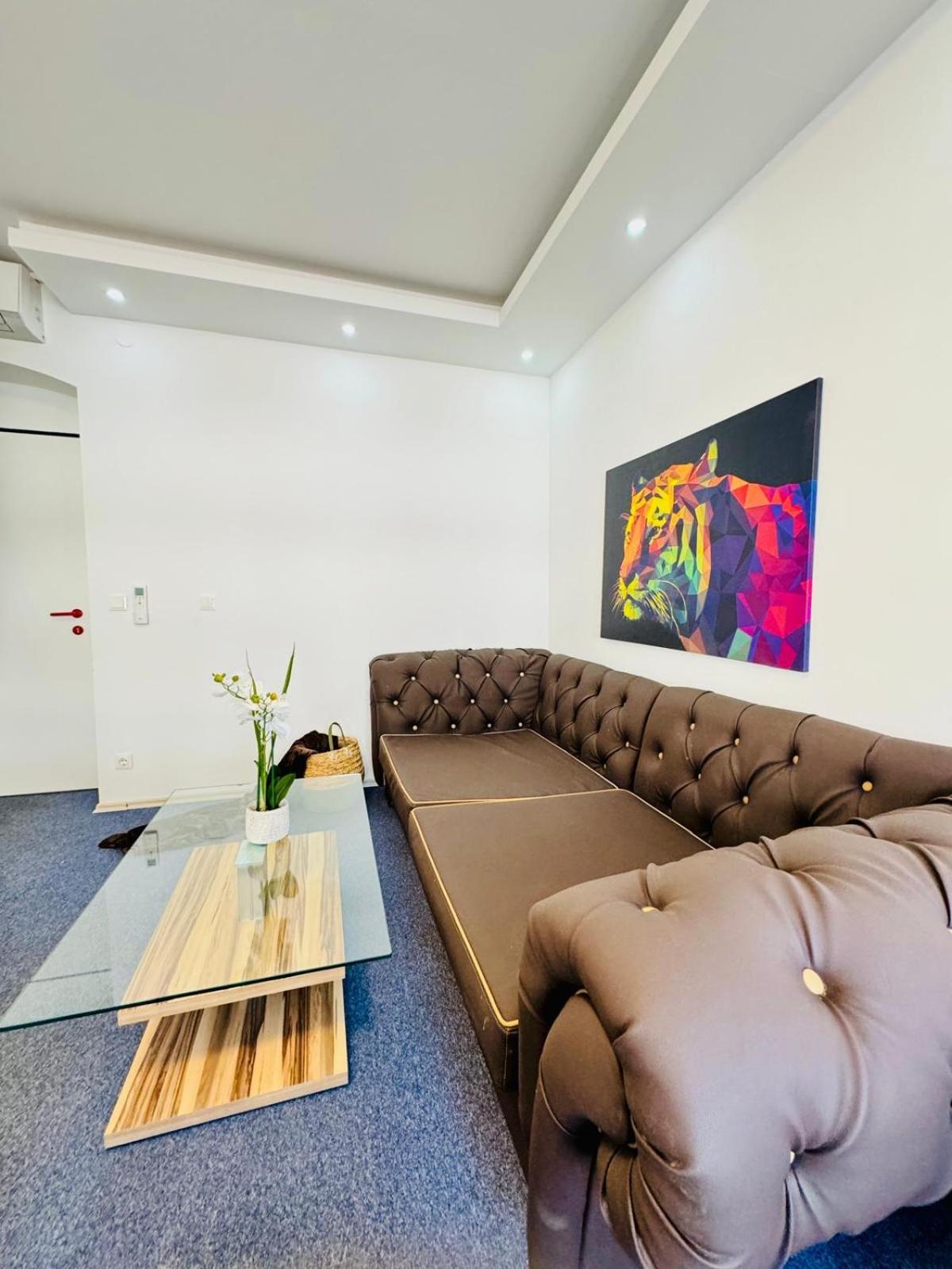 Bright Stay, 7br Shared Only 13min To Belvedere Palace Apartment